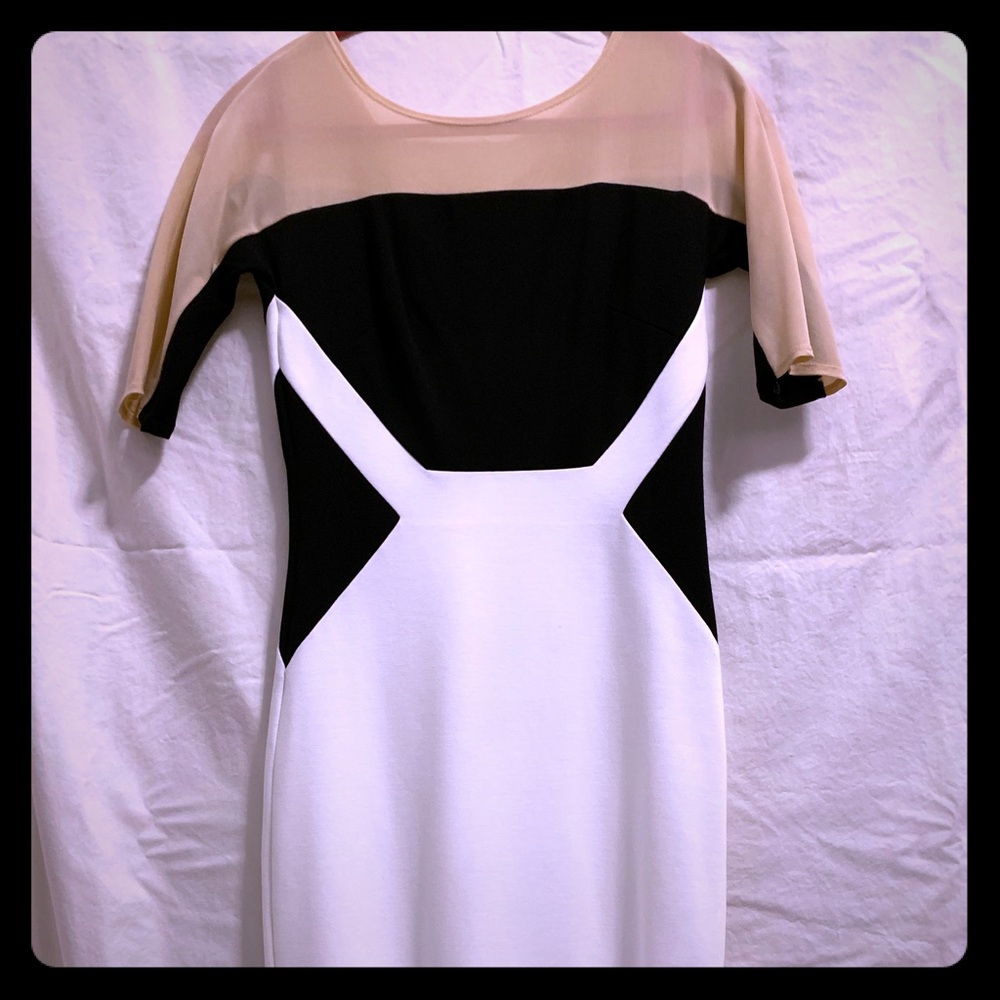 Sheer top dress